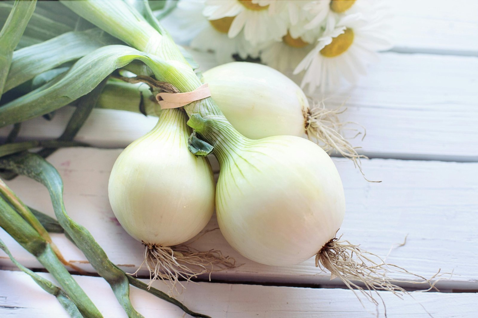 Close-up of fresh spring onions on a rustic white wooden table with daisies.