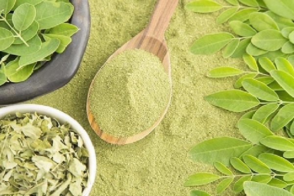 organic-moringa-powder