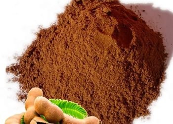 Tamarind Seed Powder